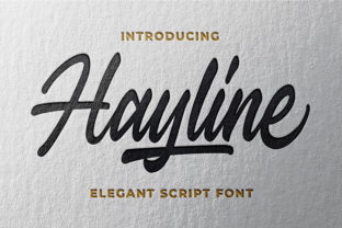 Hayline: A Charming & Bold Font Experience