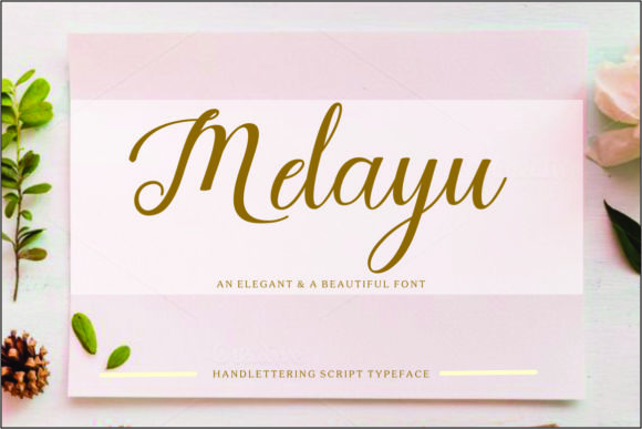 Melayu Script: Elegant Modern Typography