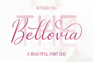 The Bellovia Duo: Where Elegant Script Meets Effortless Clarity
